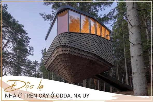 Độc lạ nhà ở trên cây ở Odda, Na Uy