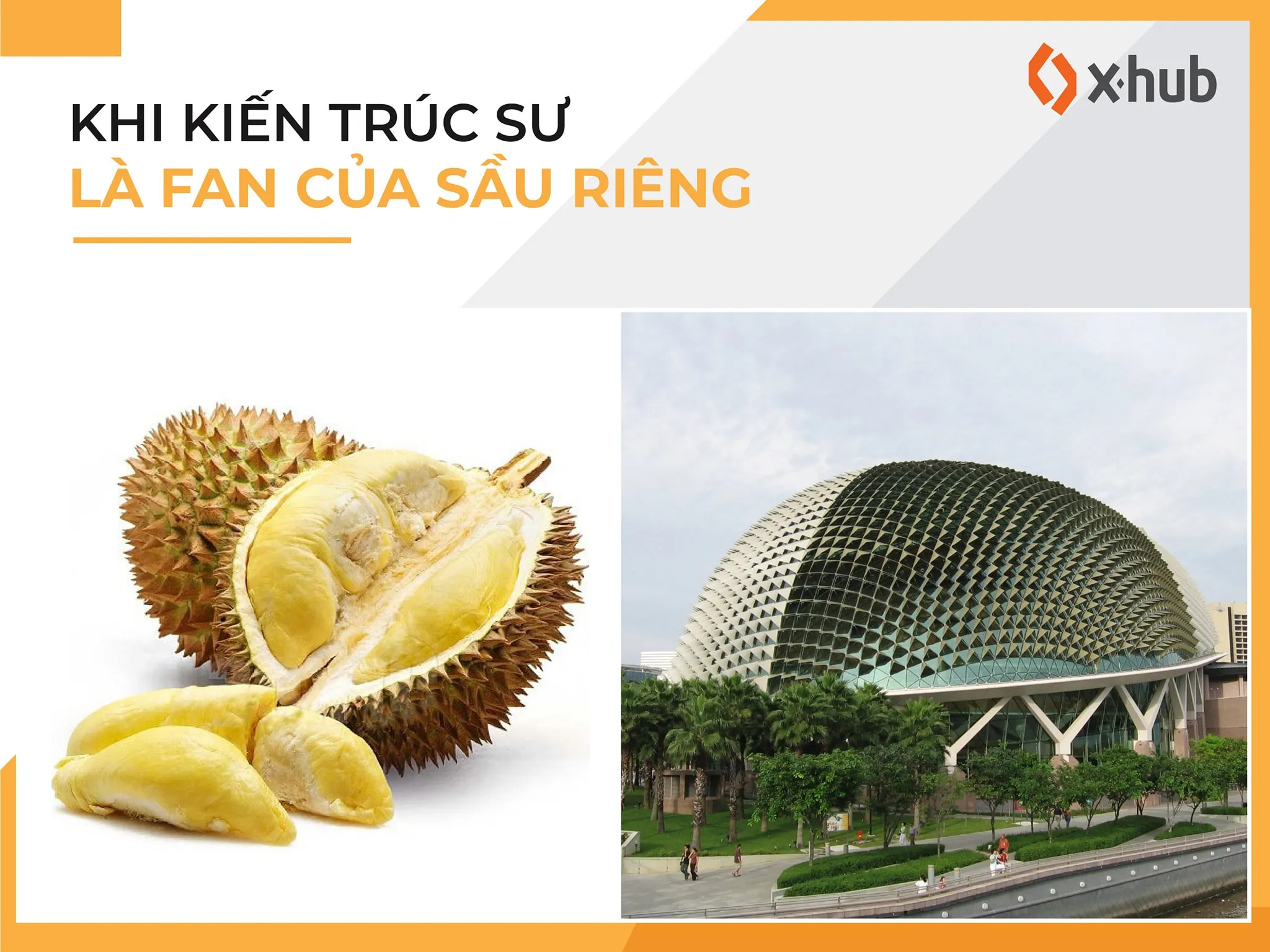 Khi kiến trúc sư là fan của sầu riêng